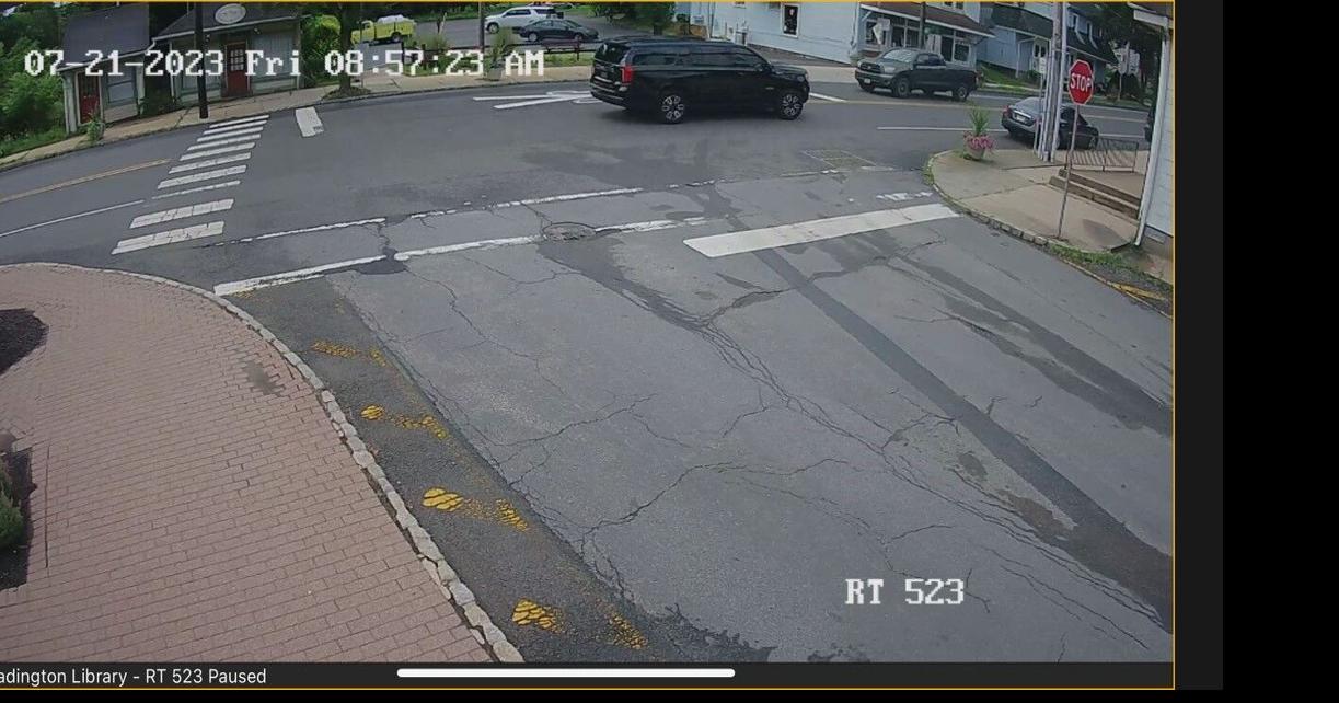 Readington Police seek hit & run driver that killed dog, injured child