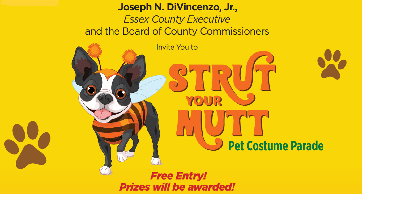 'Strut Your Mutt' dog costume parade headed to Grover Cleveland Park