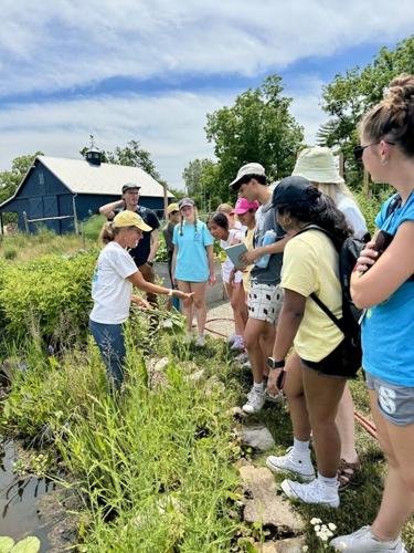 Scholarships available for high school Environmental Leaders Program ...