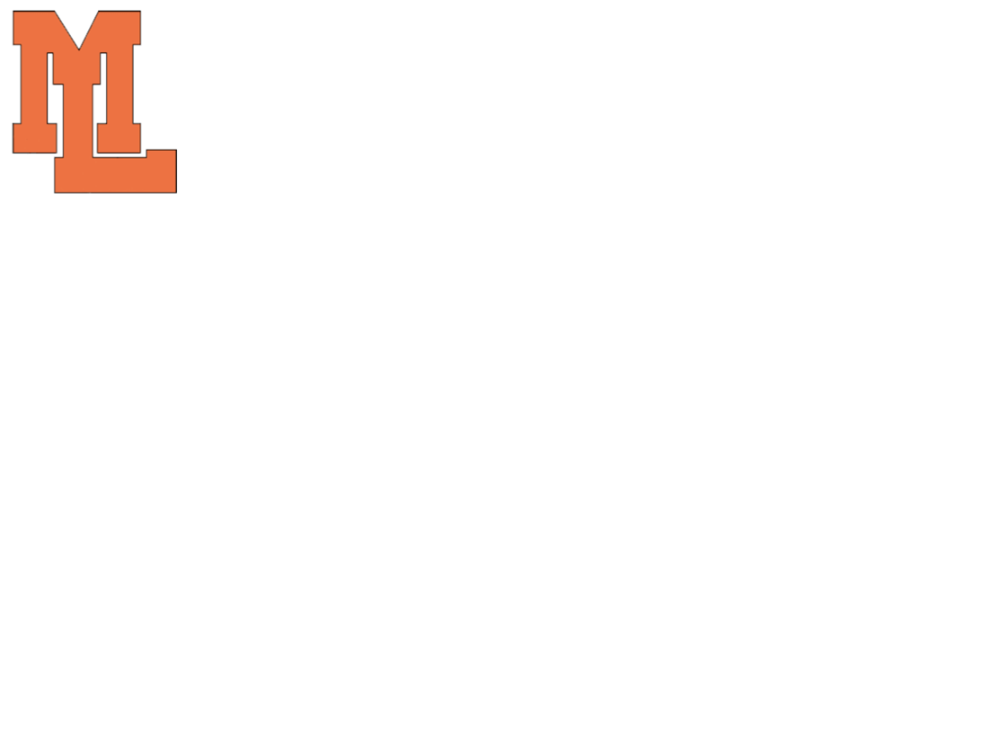 Mountain Lakes baseball's Burrier earns All-Group 1 recognition news image