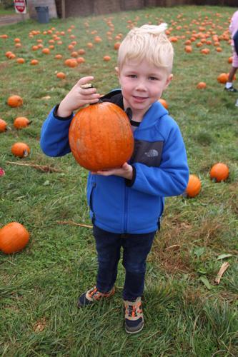 Warren kindergarten students travel to Wightman Farms | News ...