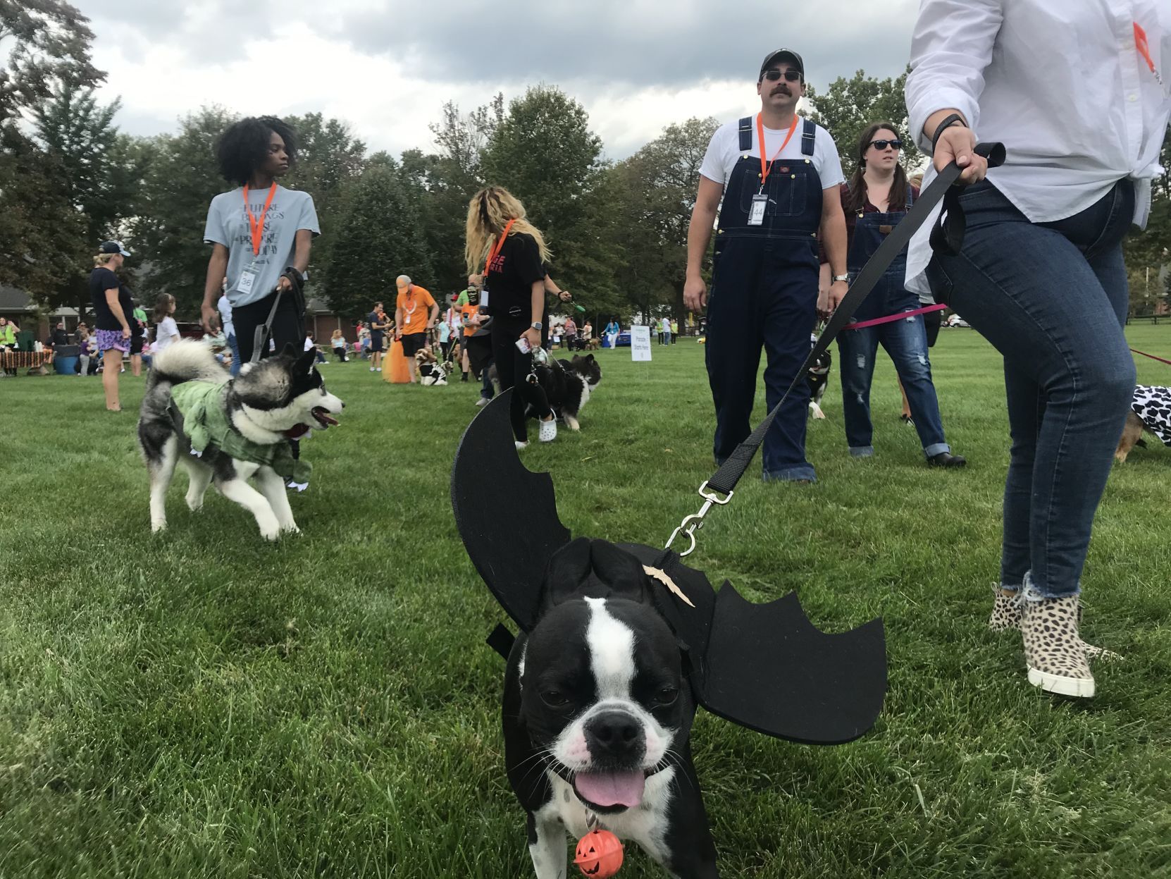 Halloween dog parade a paws for celebration in Florham Park