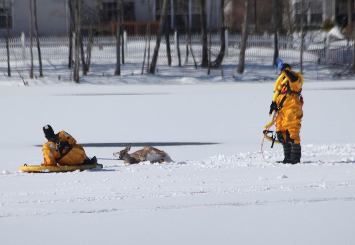 Boat sinks as emergency responders attempt to rescue deer stuck on ice