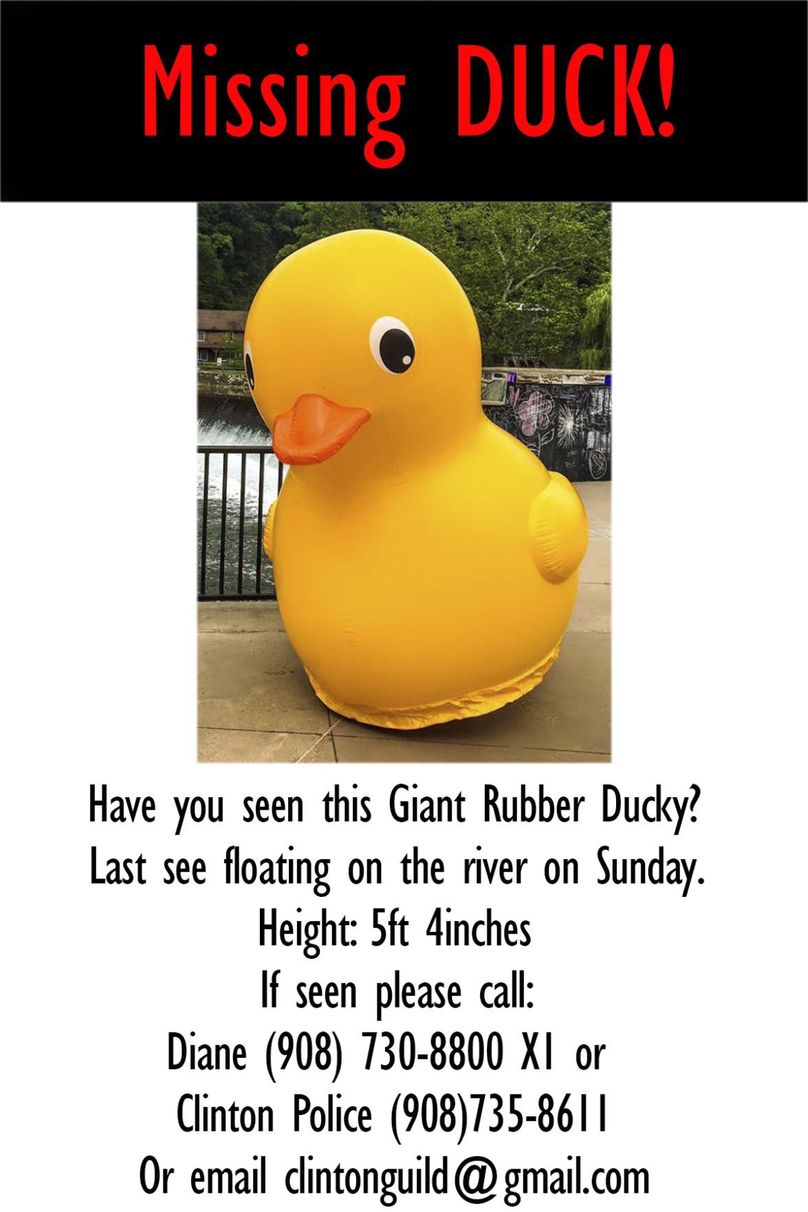 Clinton's missing large rubber ducky has been recovered Hunterdon