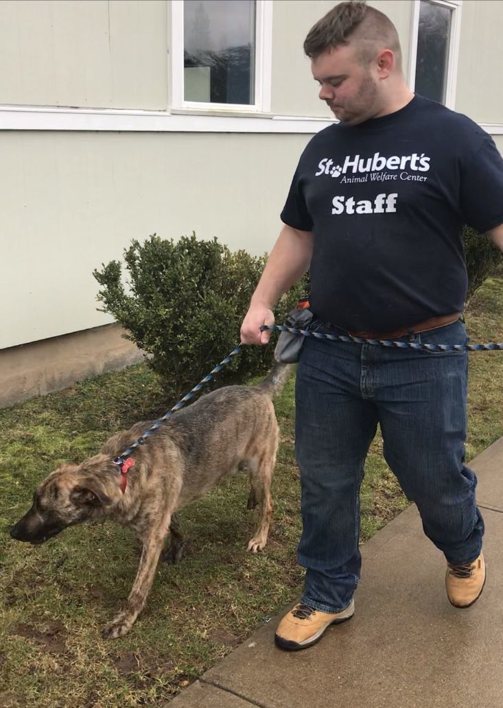 hubert animal shelter