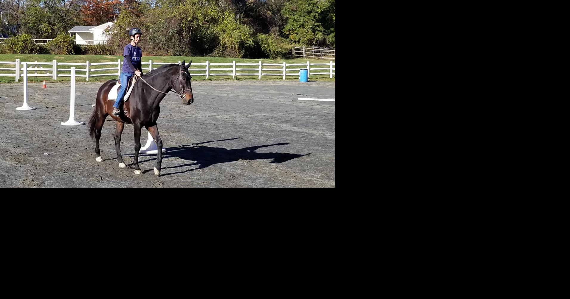 Mane Stream offers free horseback riding program for people impacted by ...
