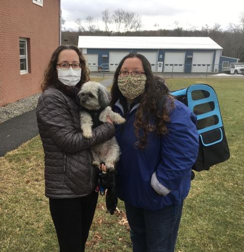 Improved procedures make Washington Township rabies clinic a success during COVID | Observer-Tribune News Improved procedures make Washington Township rabies clinic a success during COVID | Observer-Tribune News