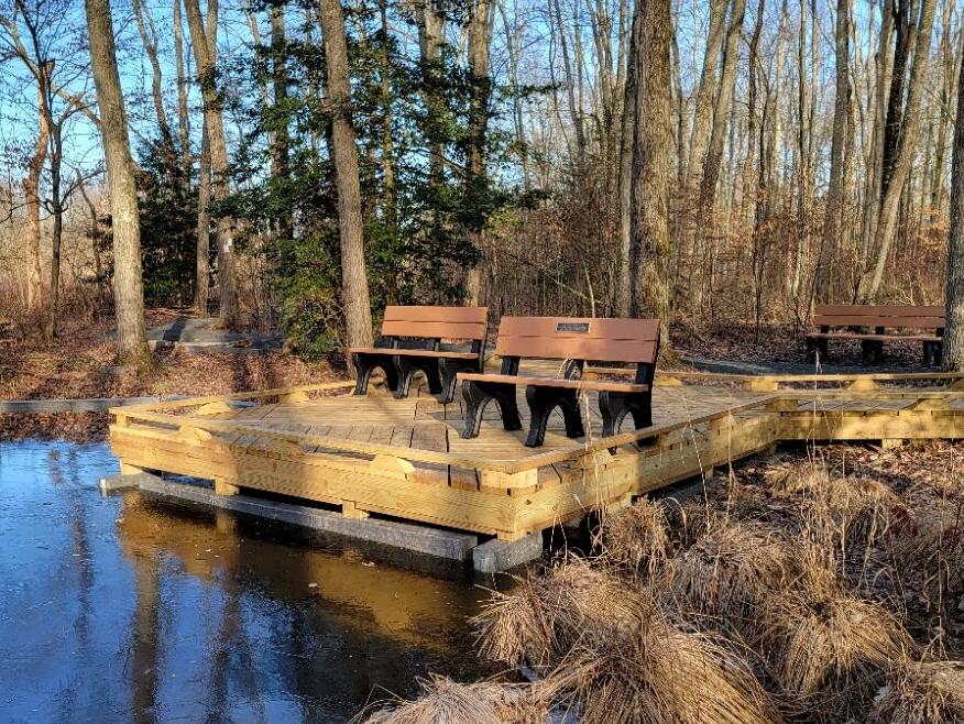 Friends of Great Swamp weekly walks move start time | Outdoors ...