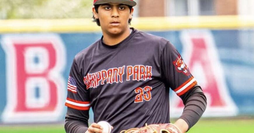 Whippany Park baseball's Karlekar, softball's Antonelli and Hendricks honored by state
