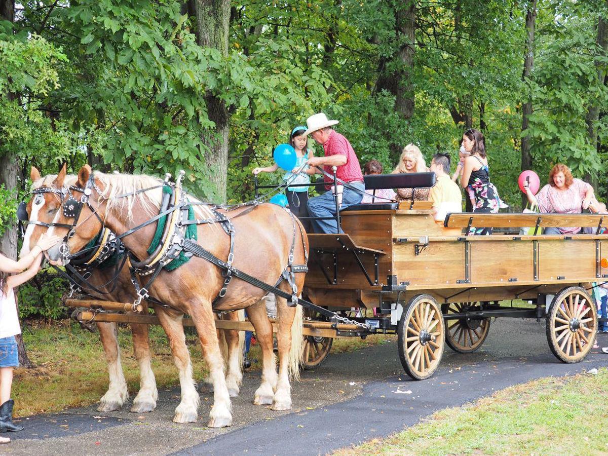 Hanover Township Day takes over Malapardis Park Saturday Hanover
