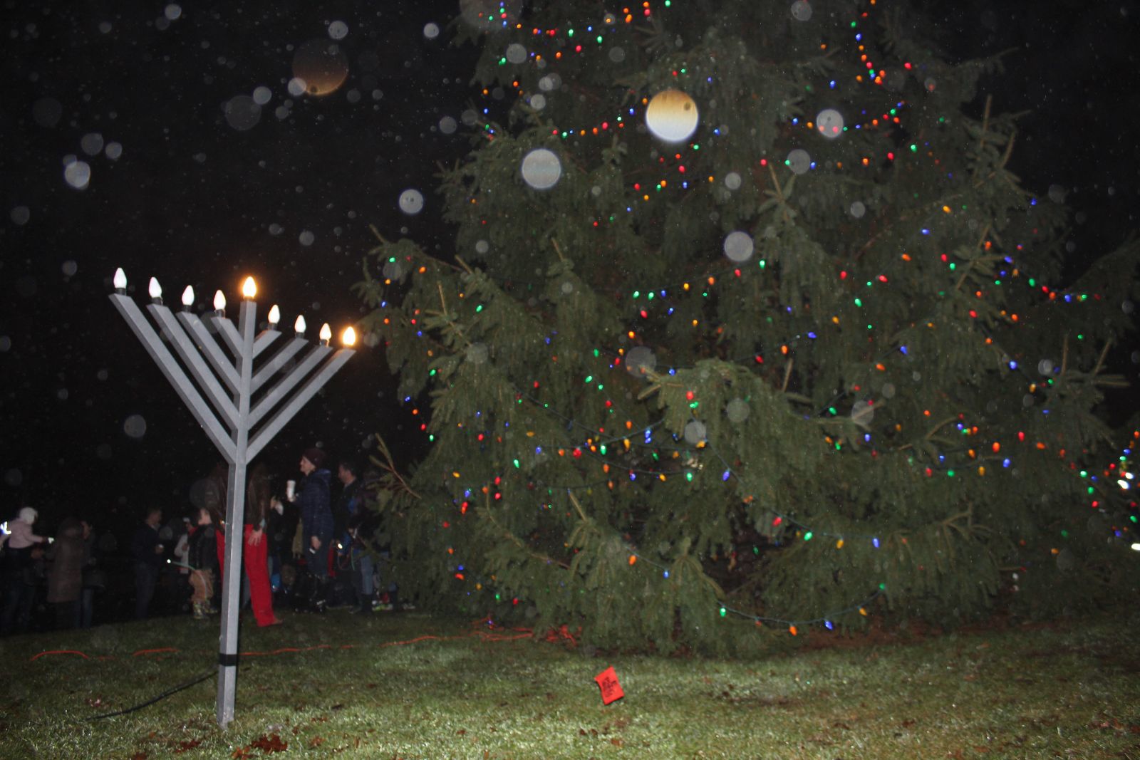 North Caldwell Lights Christmas Tree, Hanukkah Menorah | The Progress ...