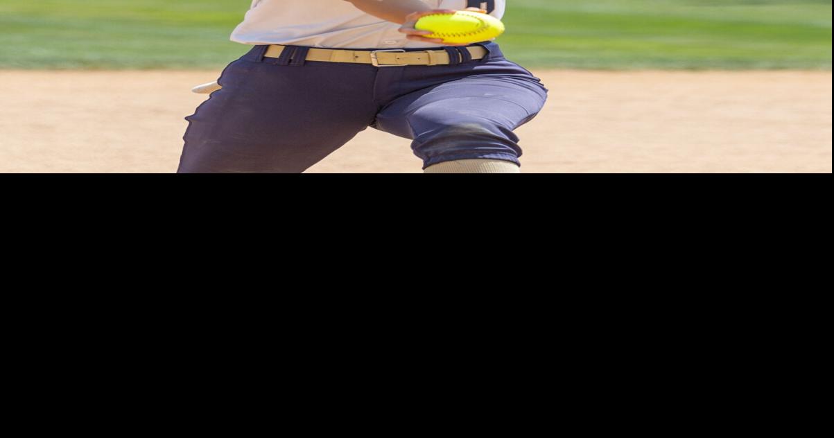 Roxbury softball's Matullo and Ribnicky, baseball's Haupt earn All-Group 3 honors