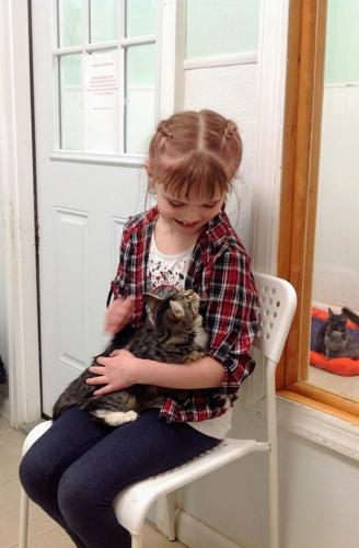 Basking Ridge girl holding '4-legged food drive' for animal shelter |  Bernardsville News News 