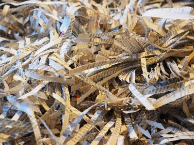 Paper shredding day