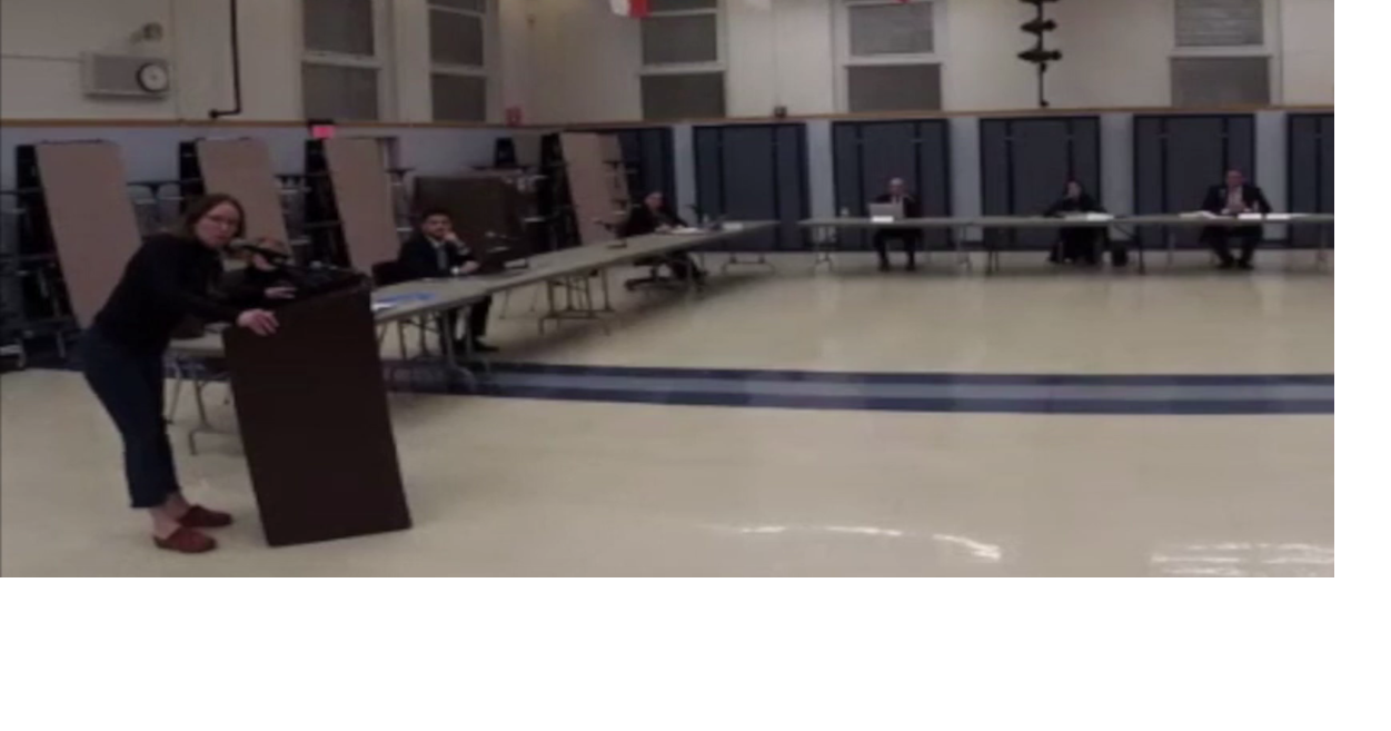 Watchung residents debate 'majority rule' on recent referendum