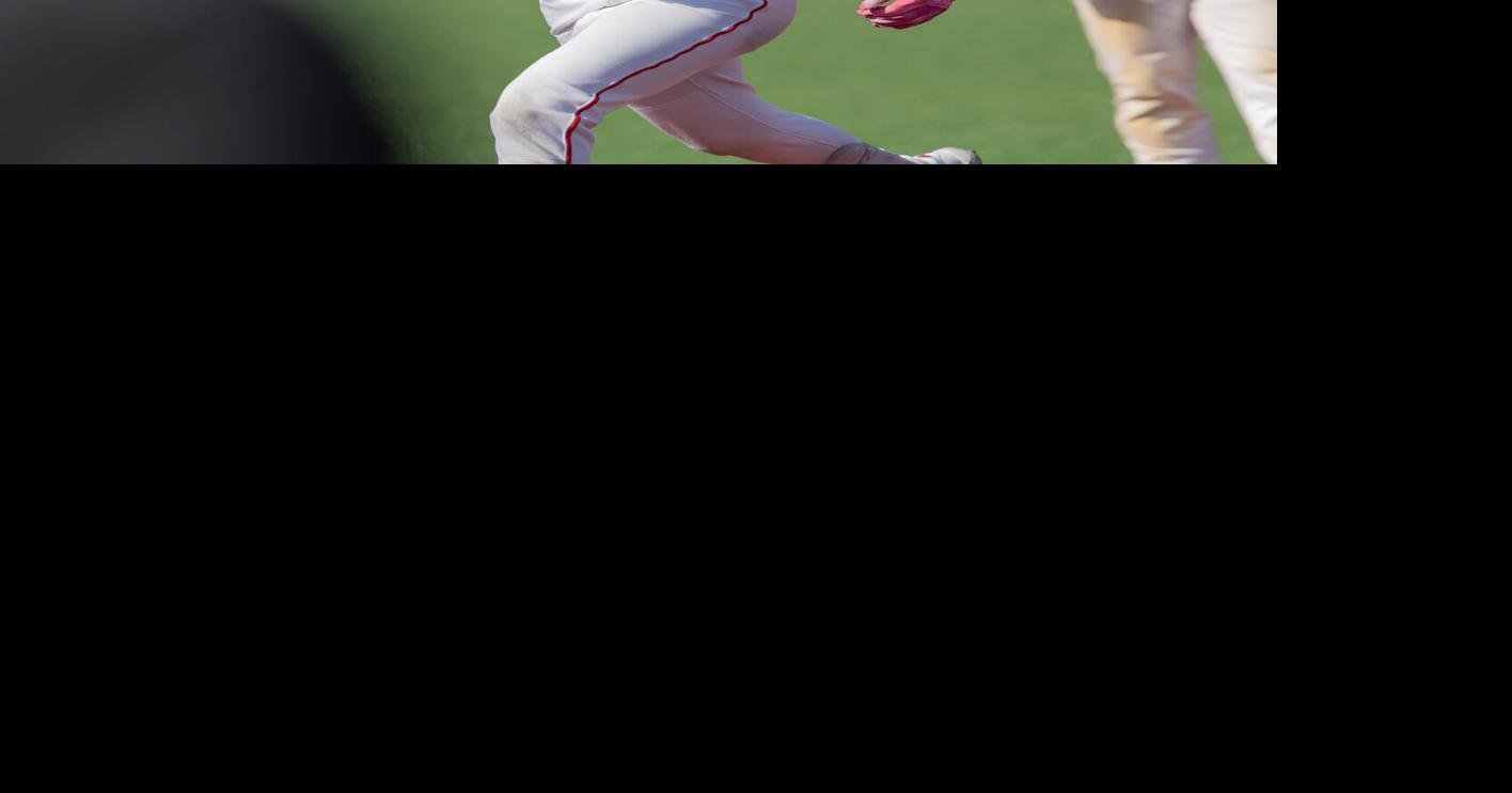 Mount Olive baseball to meet Delbarton in county final