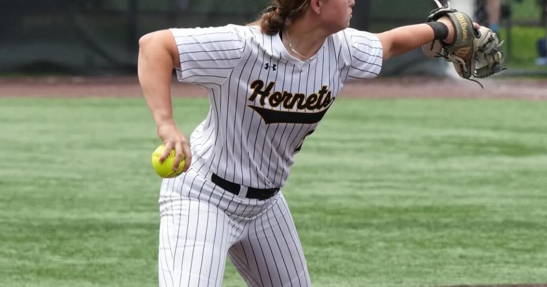 Hanover Park softball's Waldrum, Casola recognized by state