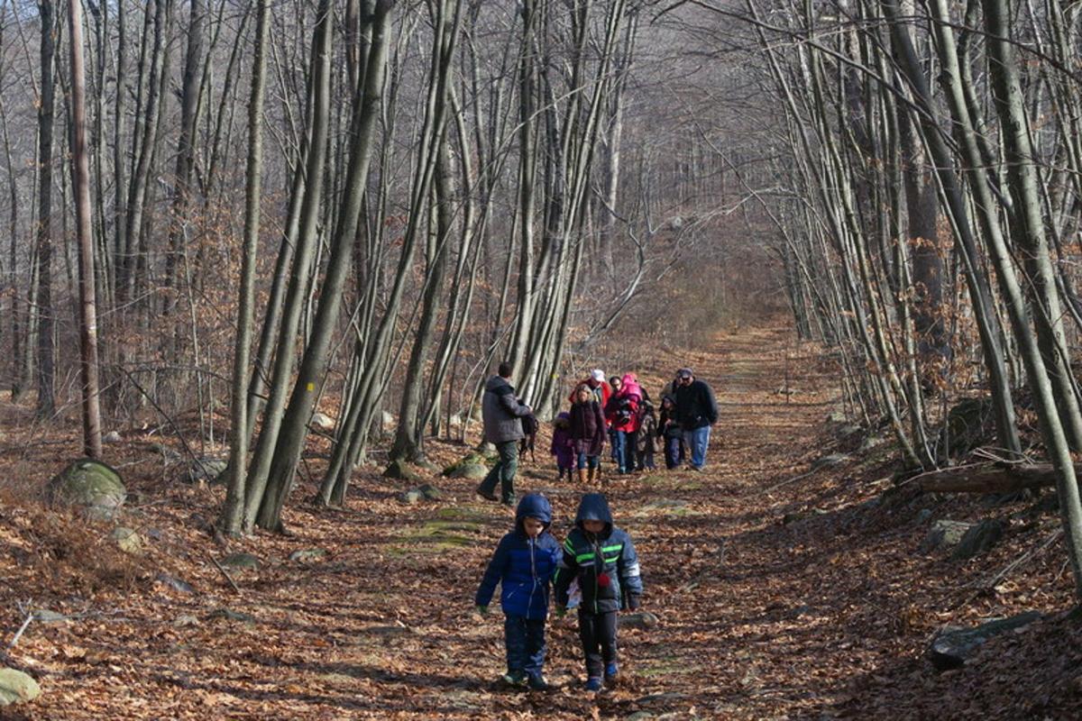 Warren Cub Scouts camp out at Camp Winnebago Echoes Sentinel News