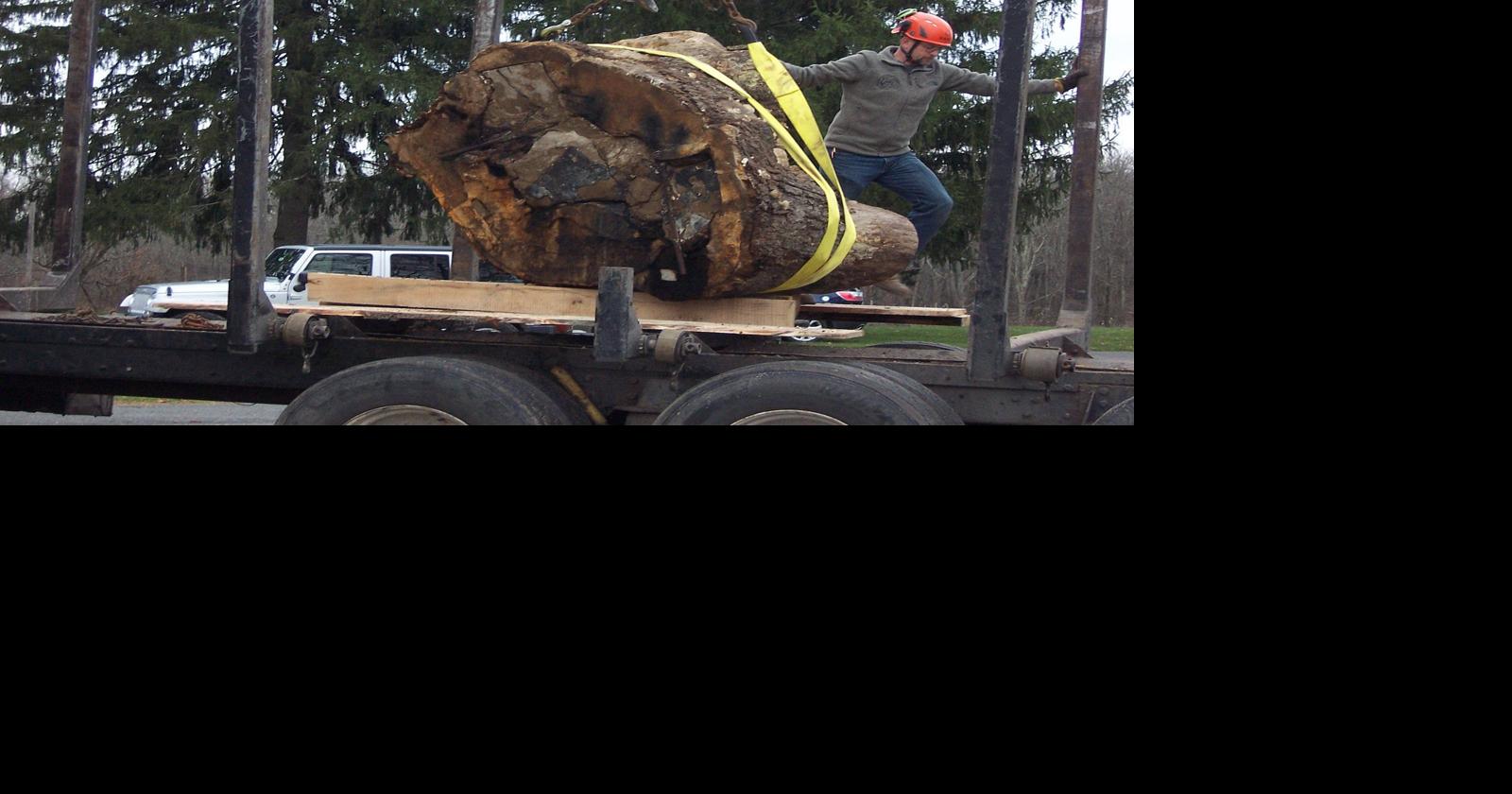 Carvings from iconic Basking Ridge oak tree now being sold | News ...