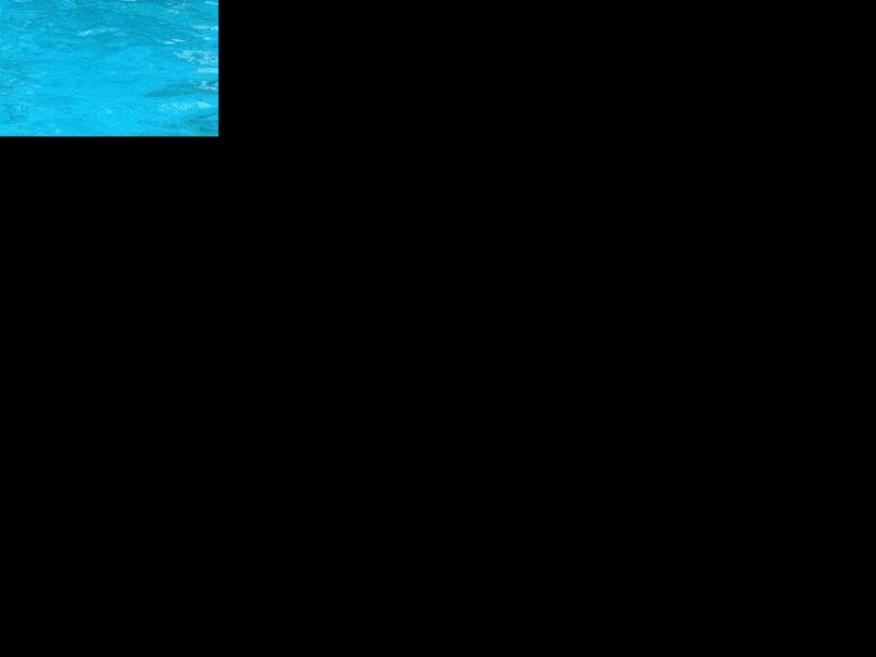 Madison Community Pool celebrates season’s opening with splash contest ...