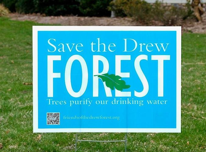 Schiff board urges preservation of Drew Forest in Madison