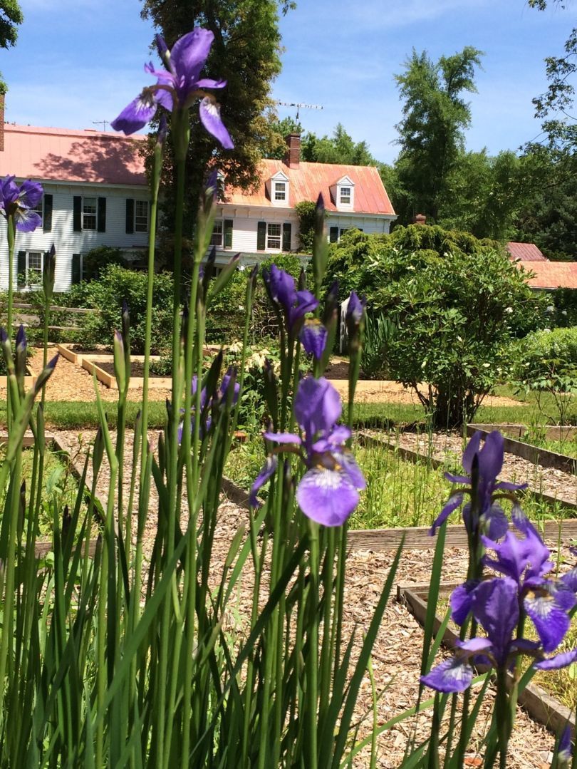 Analysis Lost history in plain sight? A case for digging deeper at