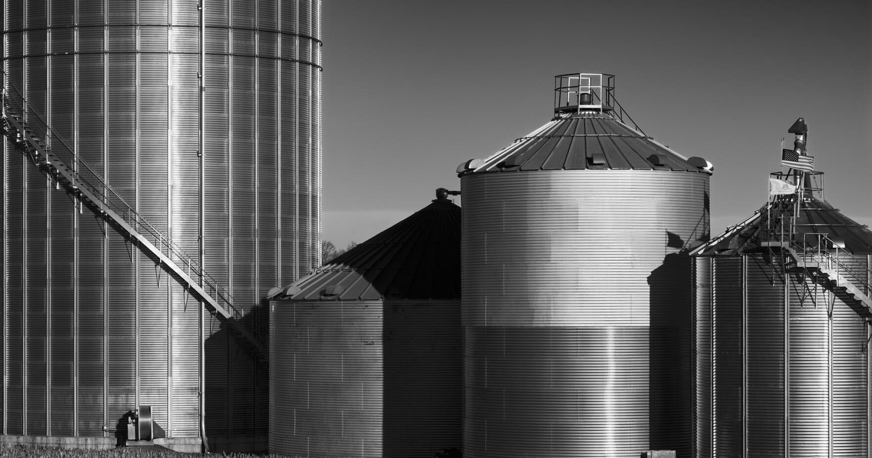 Madison resident's photography on display at Newark Airport | Madison Eagle News - Vimarsana News