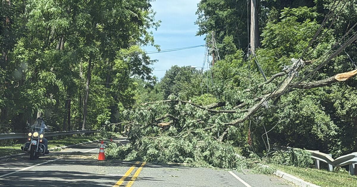 Praise for storm damage cleanup in Bernards Township