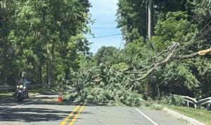 Praise for storm damage cleanup in Bernards Township news image