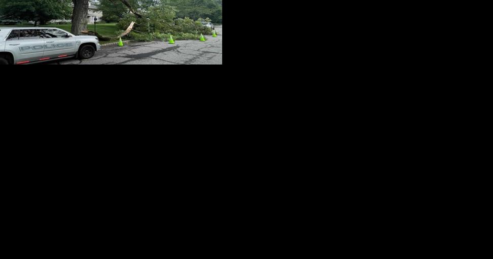Big Tree Limb Down - Vimarsana News