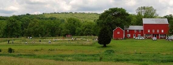 Readington Township Awarded $250,000 NJDEP Natural Climate Solutions ...