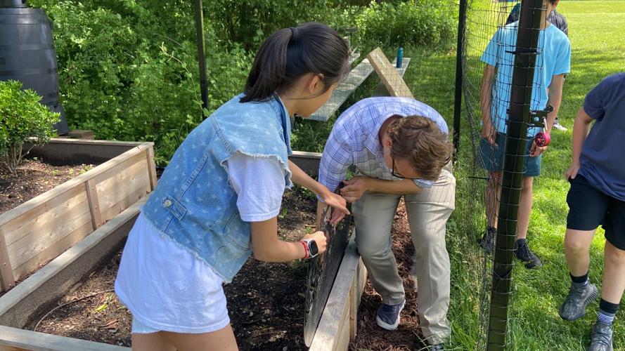 Pollinator garden opens at Ridgedale Middle School | Biology ...