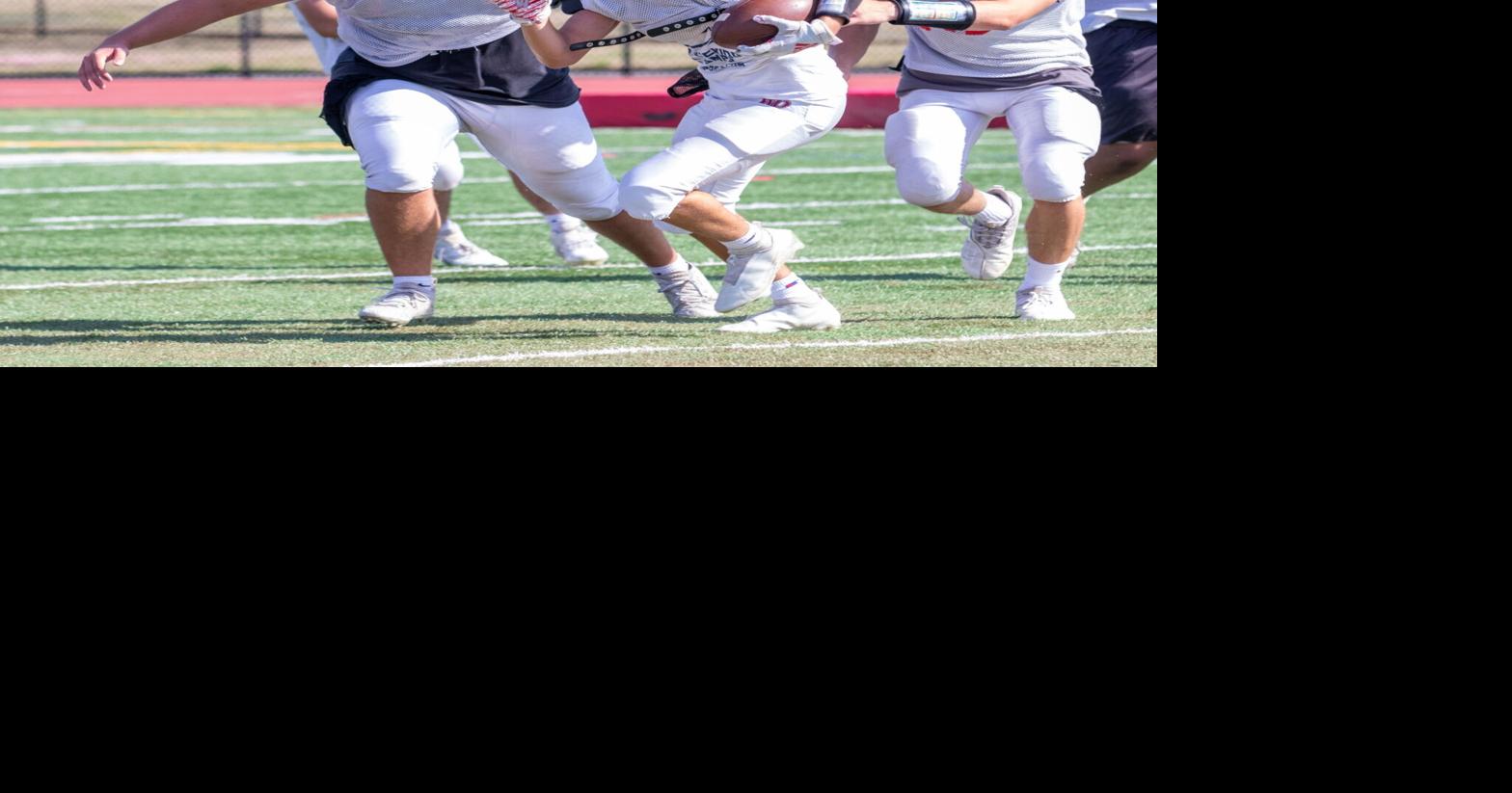 High school football preview Whippany Park Wildcats Sports
