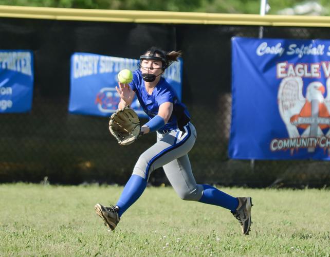 Cosby Pigeon Softball Gallery