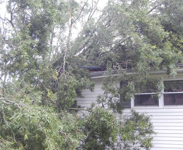 Large tree falls on home during storm | News | newportplaintalk.com