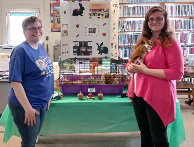 Library Summer Reading Program Community