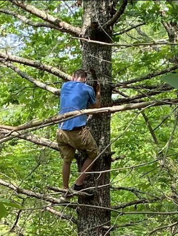 Keenan Murphy up a tree