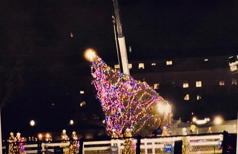 White House Christmas tree celebrates centennial Community Columns