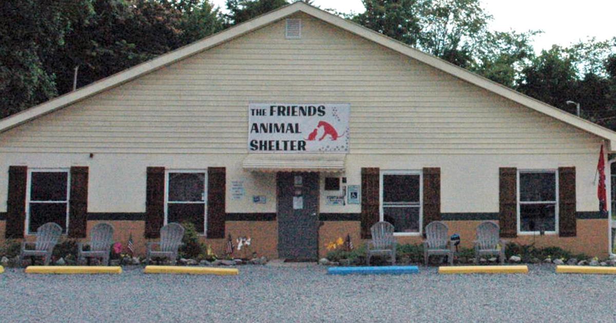 Friends Animal Shelter will not renew county animal control contract | News  