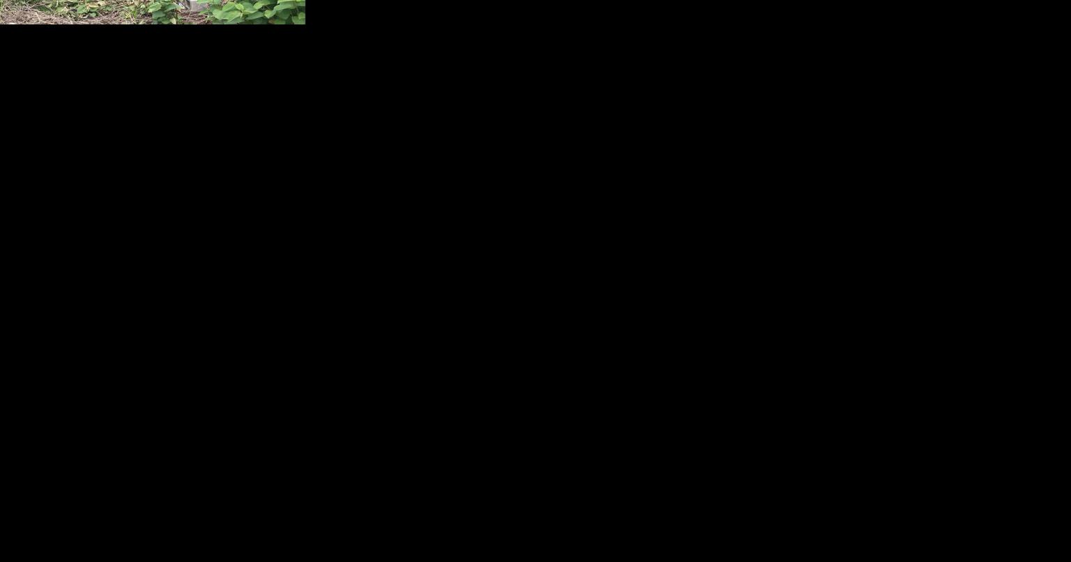 ECPD: Tragedy was averted in EC by a brave act - Vimarsana News