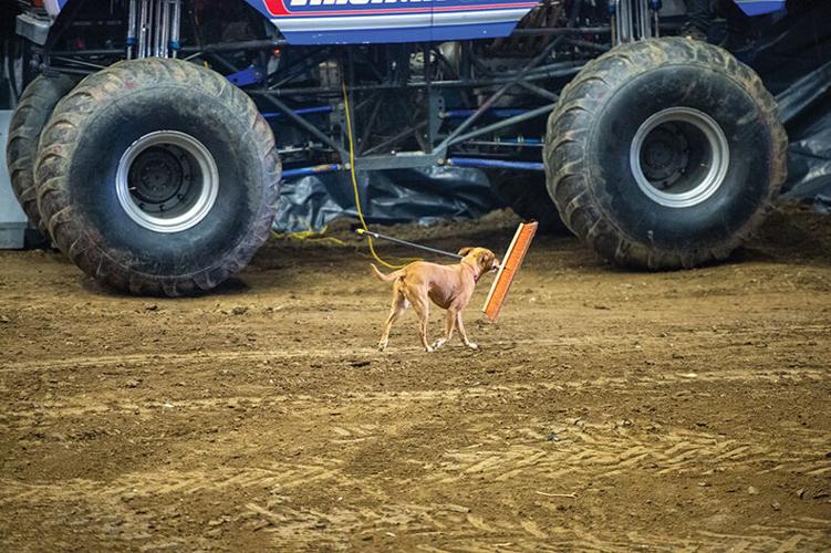 2-19 Monster Trucks-09 copy.jpg