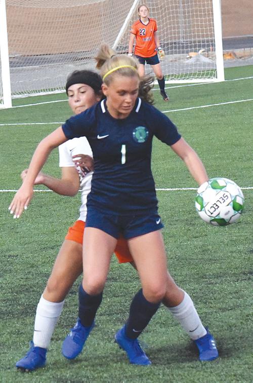 Girls' soccer: Dodge, Lady Warhawks fight hard in region loss