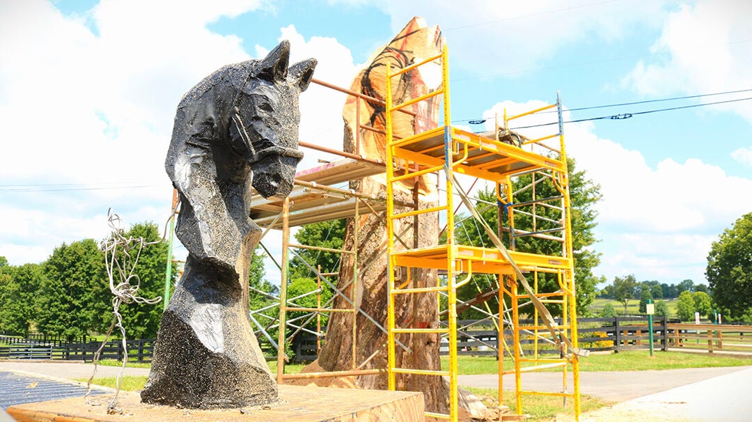 その他 FaB Barkskin of the Millennium Tree CF Bonsai trees worth thousands of dollars stolen from Federal