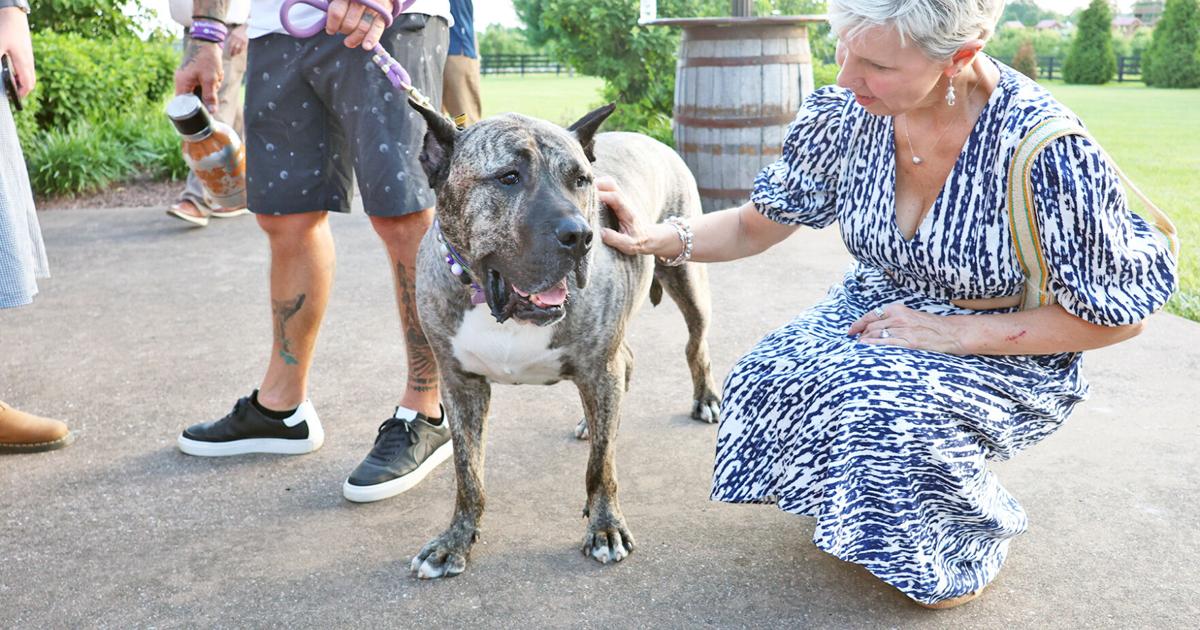 Humane society prepping for move in to new building with ‘Party 4 Paws’