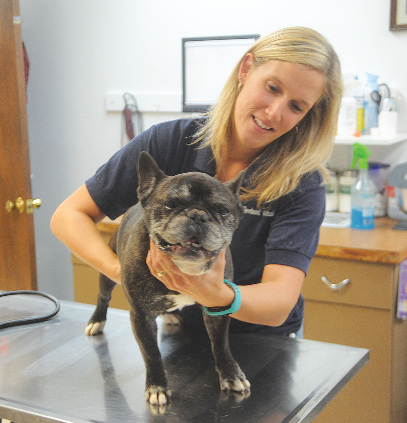 cleveland pet clinic