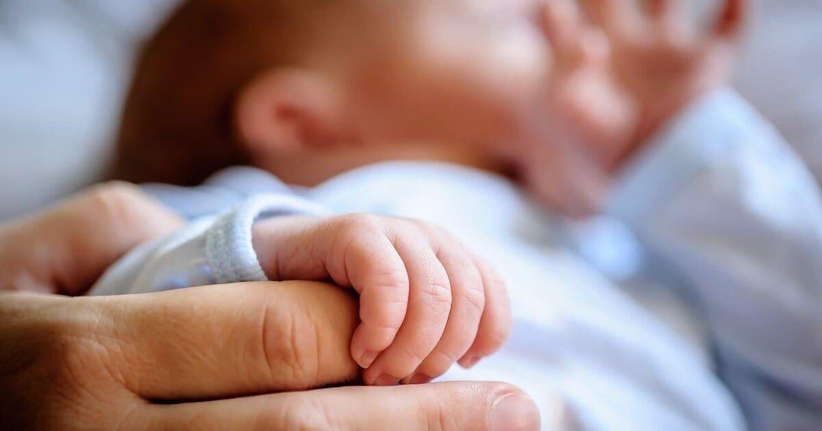 U.S. Birth Rates Show Modest Increase in 2024