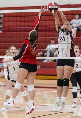 Loudon volleyball squad young | Sports | news-herald.net