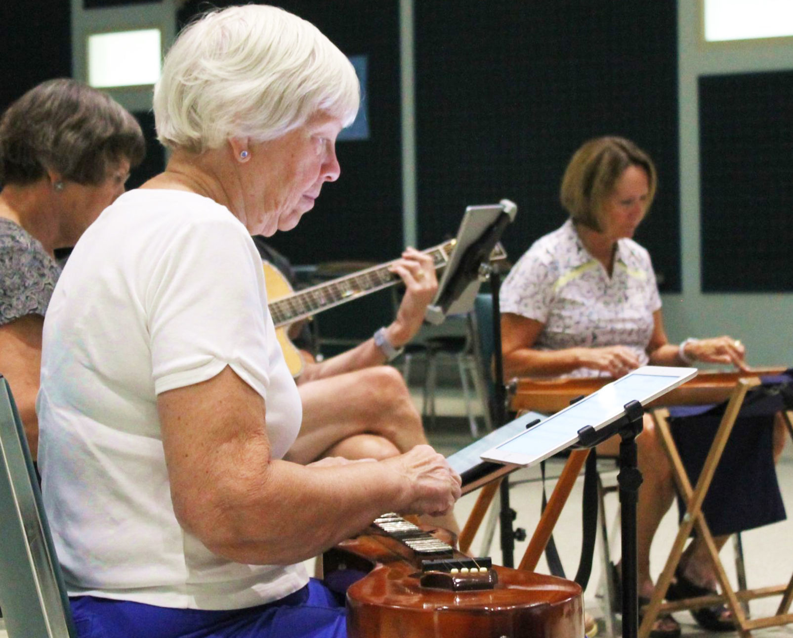 dulcimer bag lady