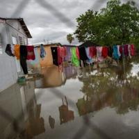 Category 3 Hurricane Erin leaves standing water across the region in Naguabo, Puerto Rico