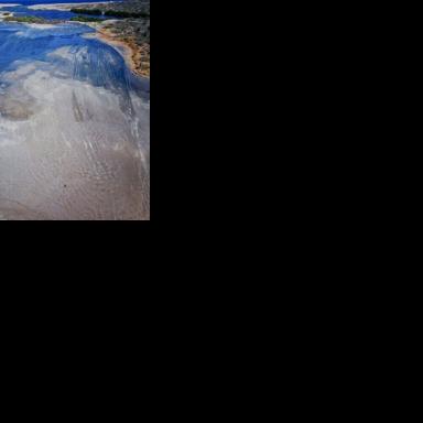 The effects of climate change have made life on Bonaire 'unbearable', according to some of the island's 27,000 residents